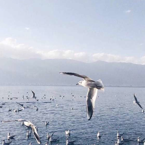 俄罗斯乱伦视频
